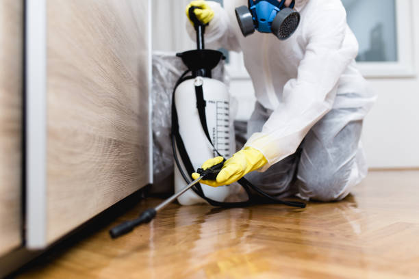 Best Termite Control Services  in Plymouth, NC