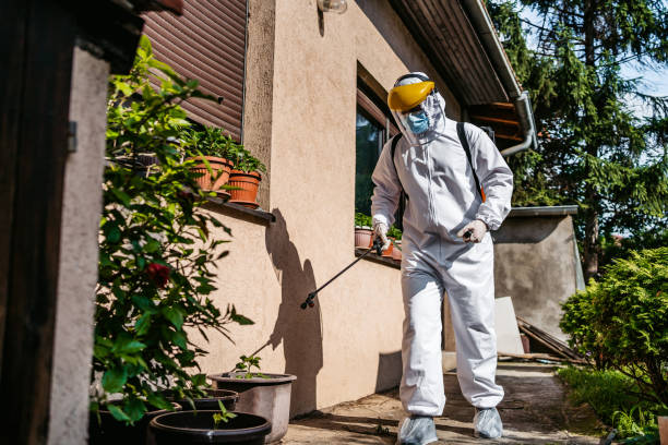 Best Rat Extermination Near Me  in Plymouth, NC