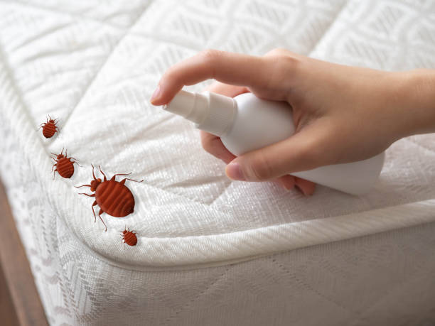 Pest Prevention Services in Plymouth, NC