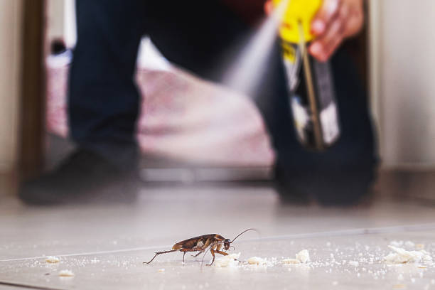Best Exterminator Services  in Plymouth, NC