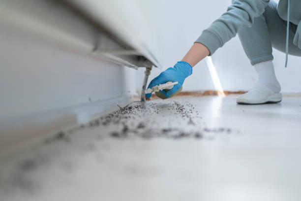 Best Residential Pest Control  in Plymouth, NC